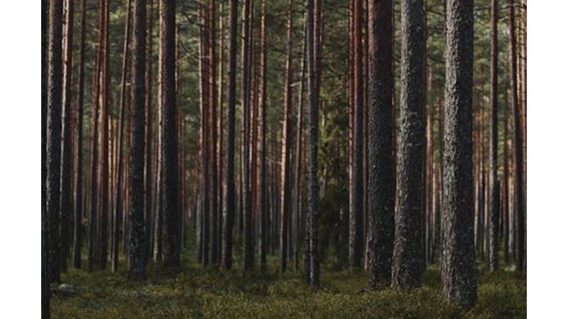 Kimin Kazandığı Belirsiz