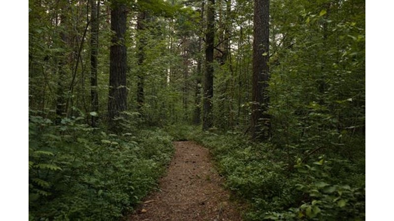 İç Savaş Başladı