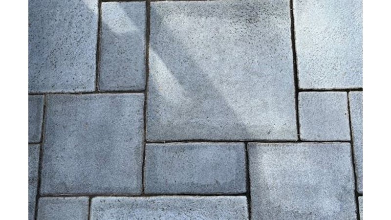 Düzenlenmiş Hareket