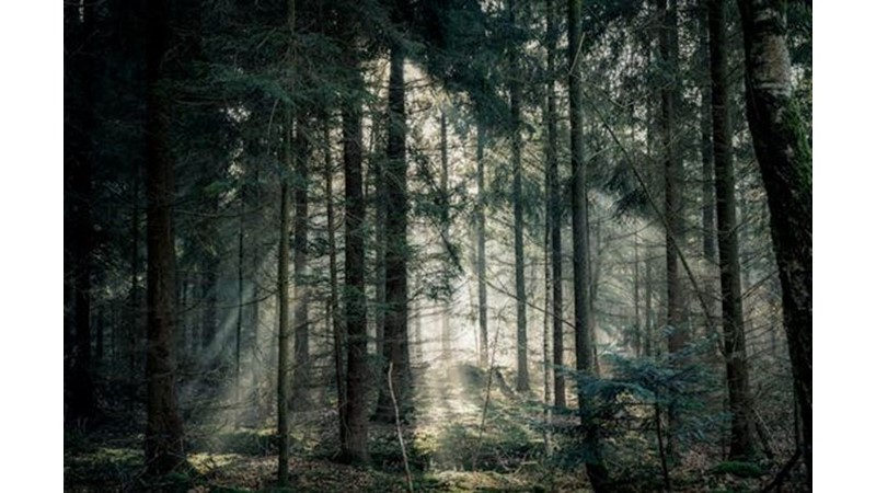 Osmanlı Kuvvetleri Hızla Kuşatmaya Aldı