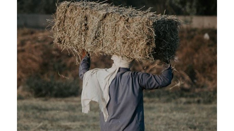 Tek Bir Kişiye Yüklenmek