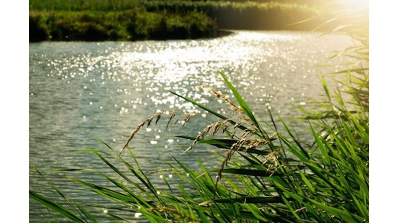 Bir Akıntıya Kapılmak Gibi