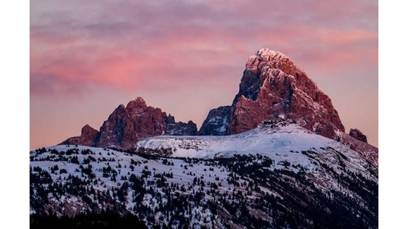 Saldırı Başarısız Oldu