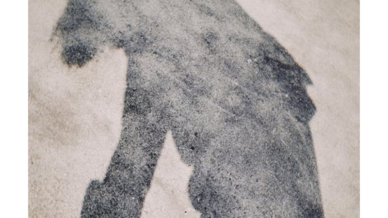 Hayata Bakınca Görülenler