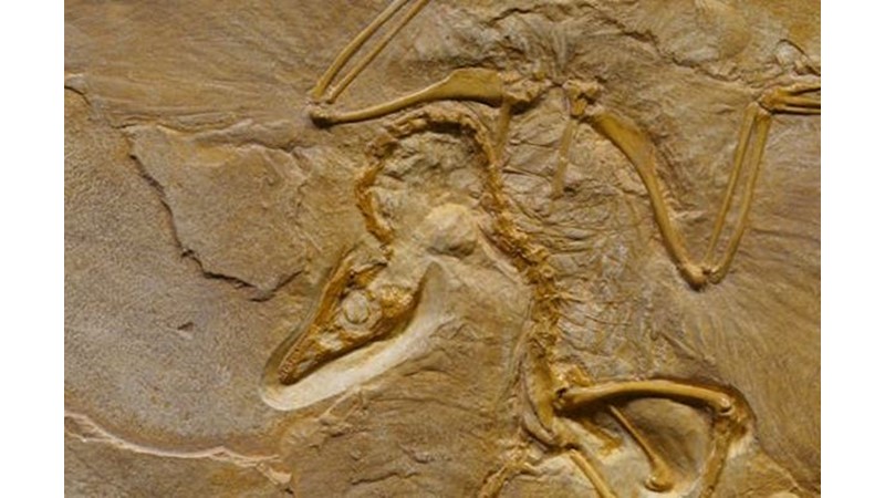 İnsanın Çaresizce Kanıt Arayışı