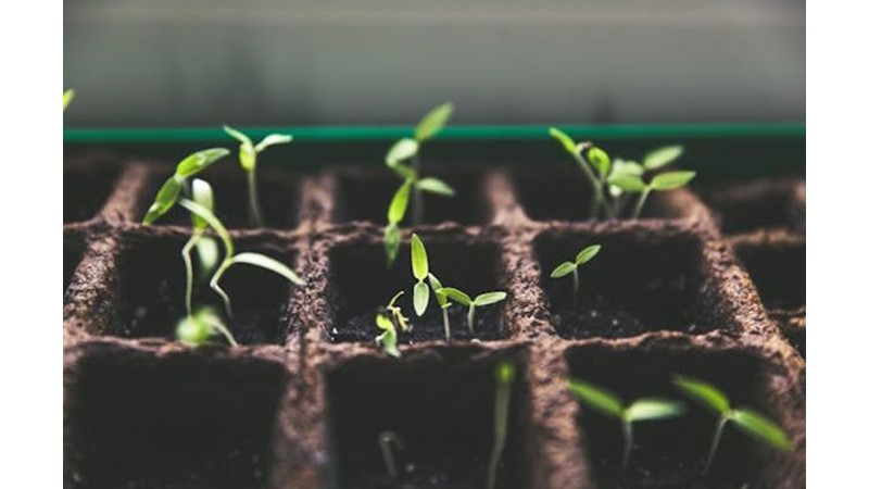 Her Şeye Yeniden Başlamak