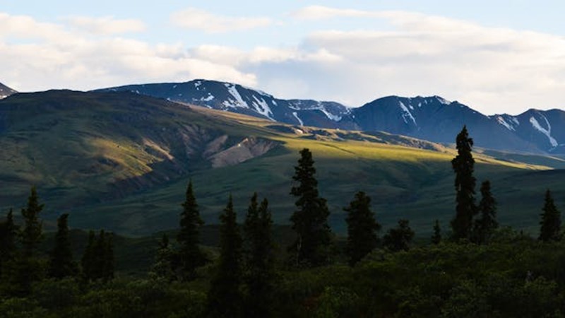 Barış Müzakereleri İşe Yaramadı