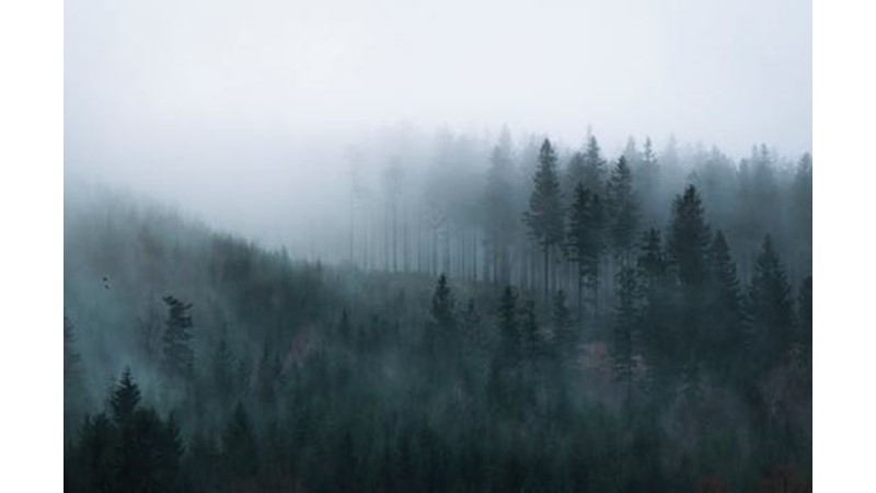 Şanslarını Yeniden Deniyorlar