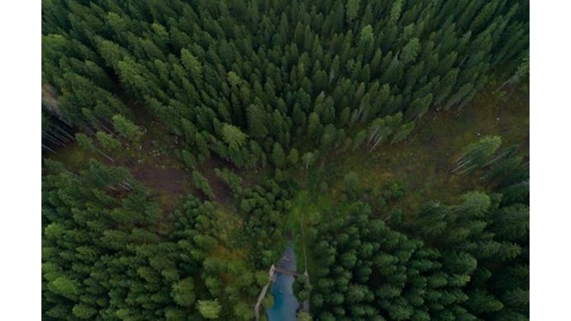 Farklı Ama İyi Bir Fikir