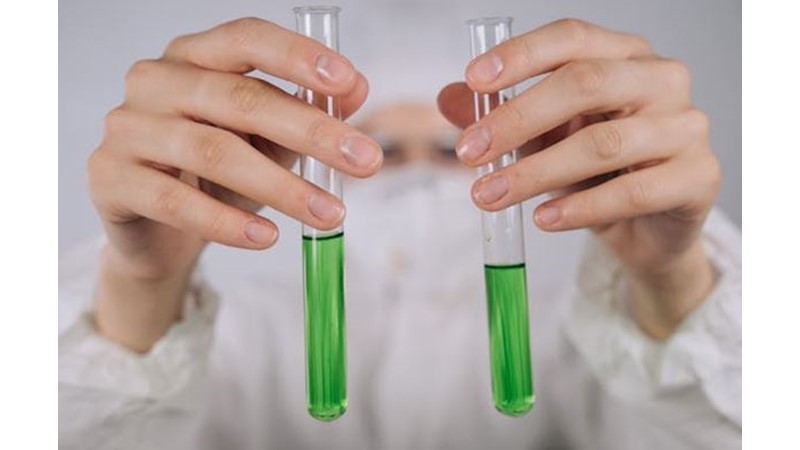 Doğru Cevabı Bulacak Kişi