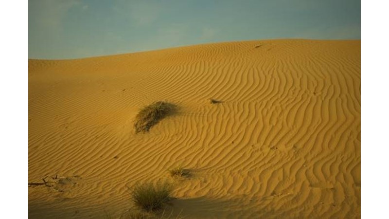 İlk Hamle Selçuklulardan