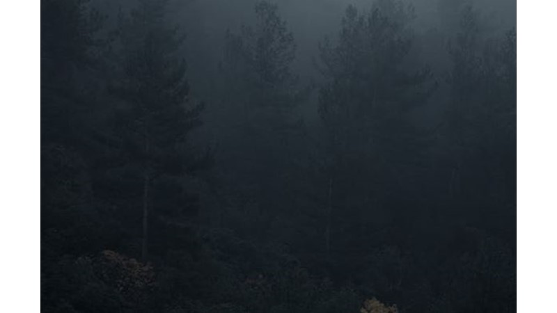 Kırım Osmanlı'ya Katıldı