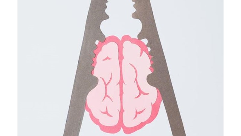 Bilincin Bireyin Kendisini Aşması