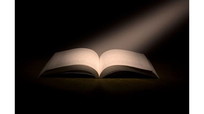 Mücadele Etmeden Kazanmak