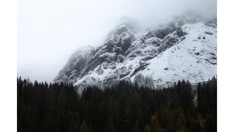 Avrupalılar için Büyük Koz