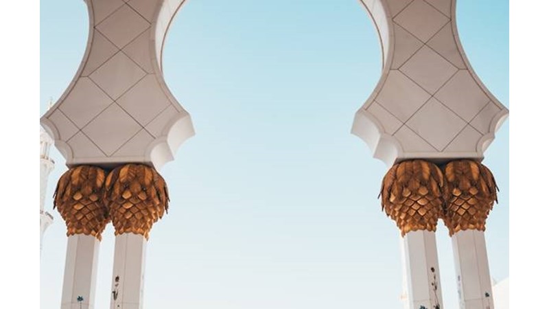 Güç Gösterisi Planı