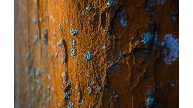 Her Şey Eskimeye Mahkumdur