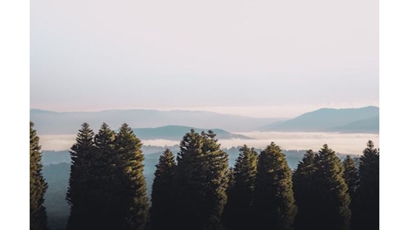 Başka Devletler Konuya Dahil Oldu