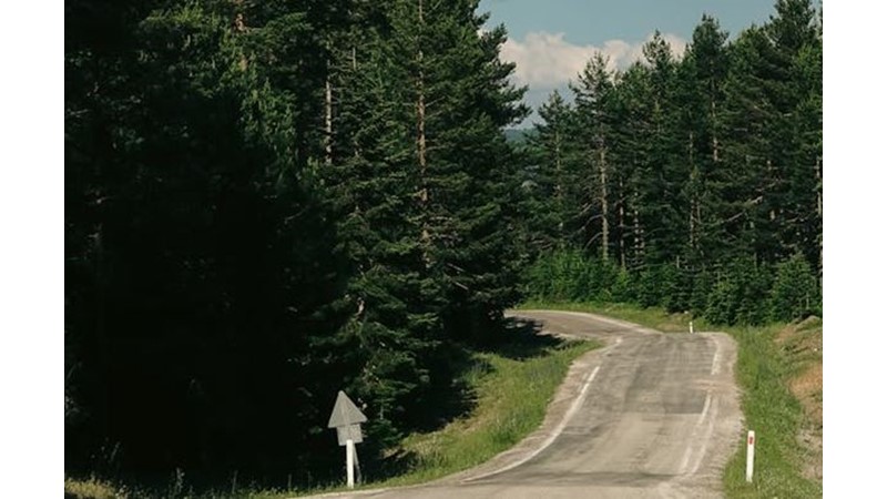 Kolay Yolu Arama Hezeyanı