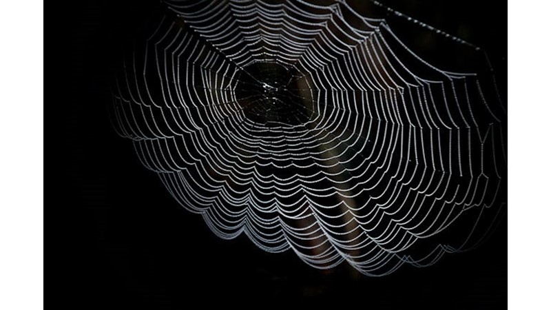 Vicdana Uyan Tuzaklar