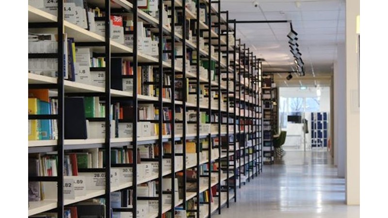 İnsanın Çaresizce Düzen Arayışı