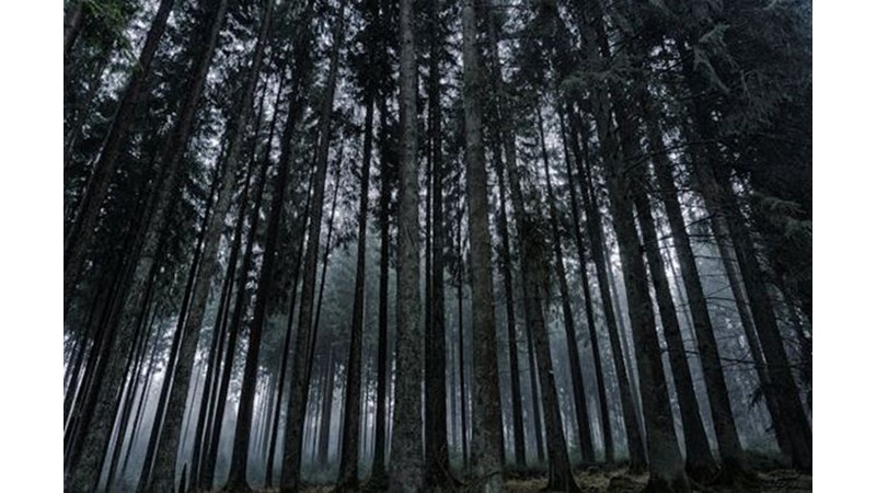 Büyük Saldırı İçin Küçük Kazanımlar