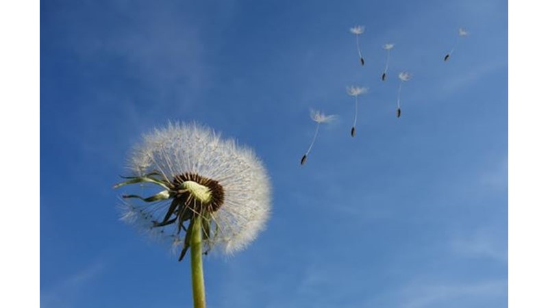 İstenilen Noktaya Sürüklemek