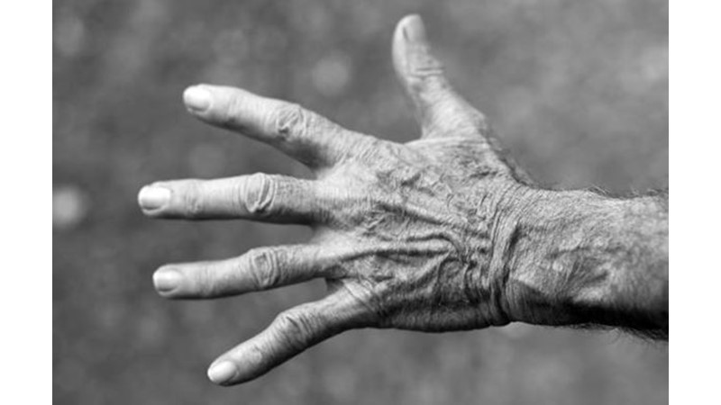 Uzun Ömürlü Olmak