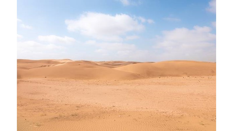 Bu Sefer Kaçamayacak