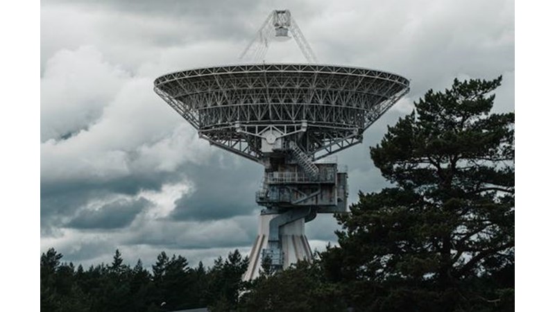 Uyum Sağlamak Yerine Kendi Peşinde Koşmak