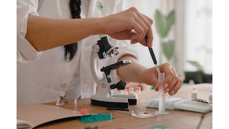 Laboratuvarda Çocuk Yapımı