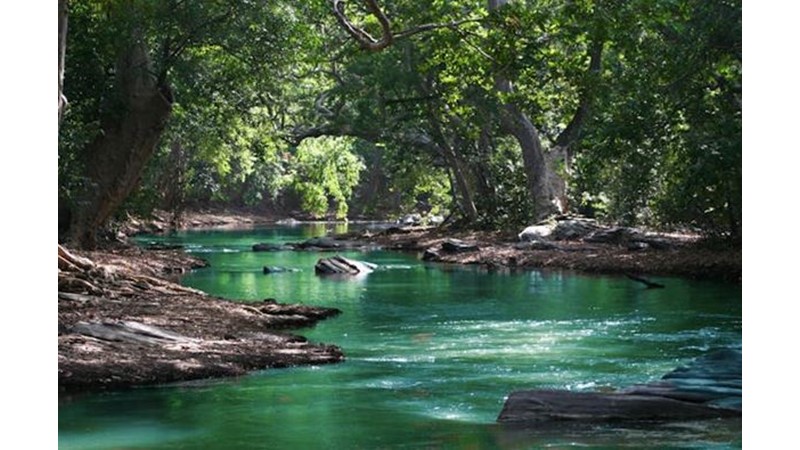Bir Akıntıya Kapılmak Gibi
