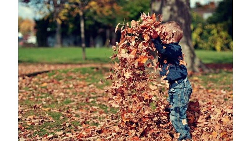 İstenilen Noktaya Sürüklemek