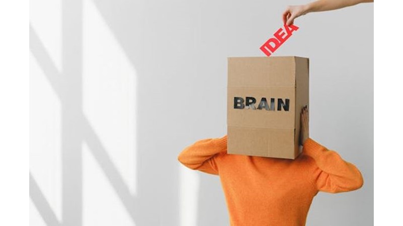 Zekadan Ne Anladığımız