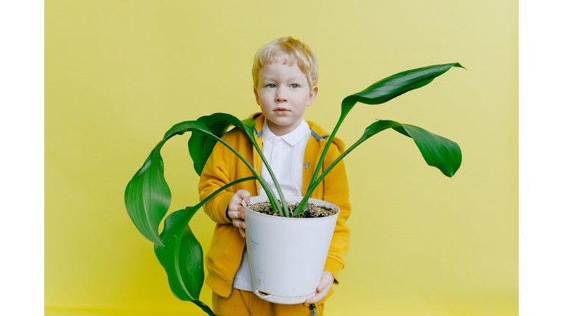 Sorumluluk Almak En Ağırıdır