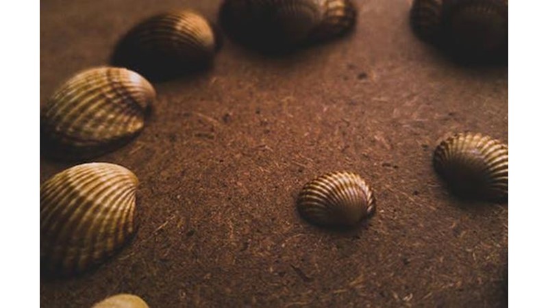 Her Tarafın En İyisini Almak