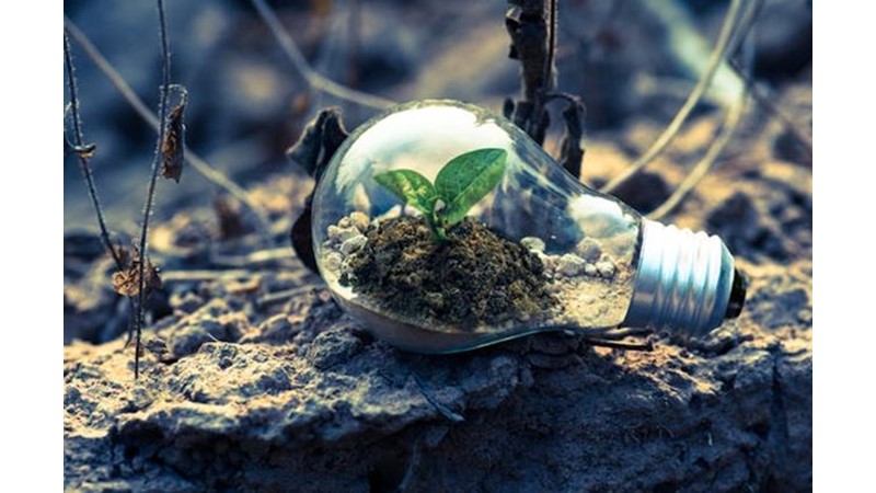 Doğanın Realiteleri