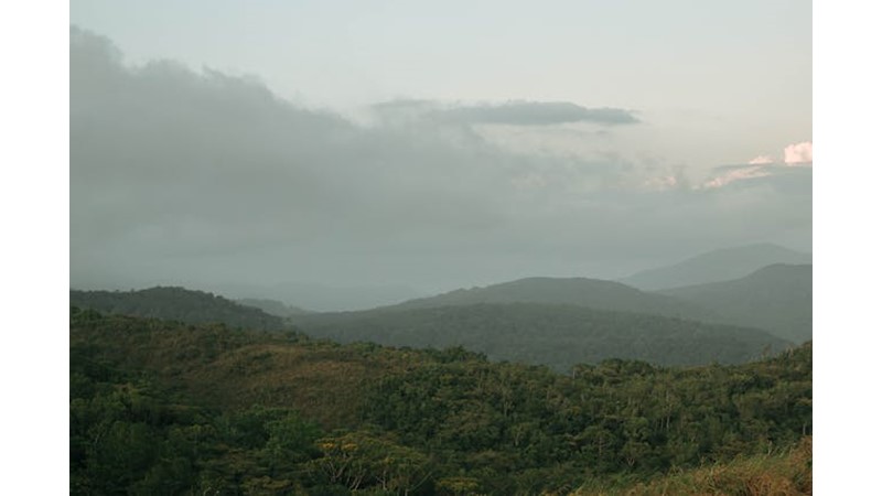 Savaş Meydana Taşındı