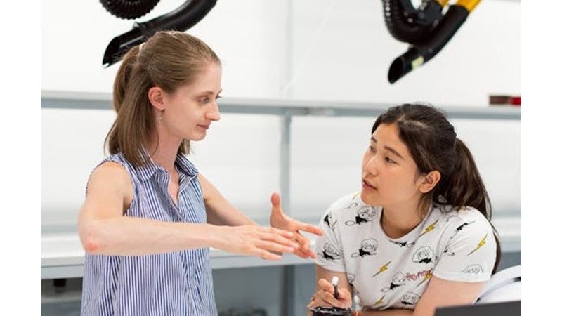 Sahada Olan Eğitimsizler