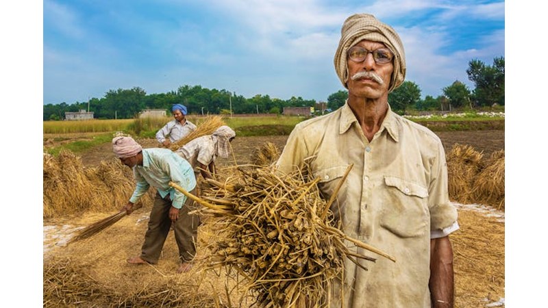 Medeniyeti Kuran Meslekler