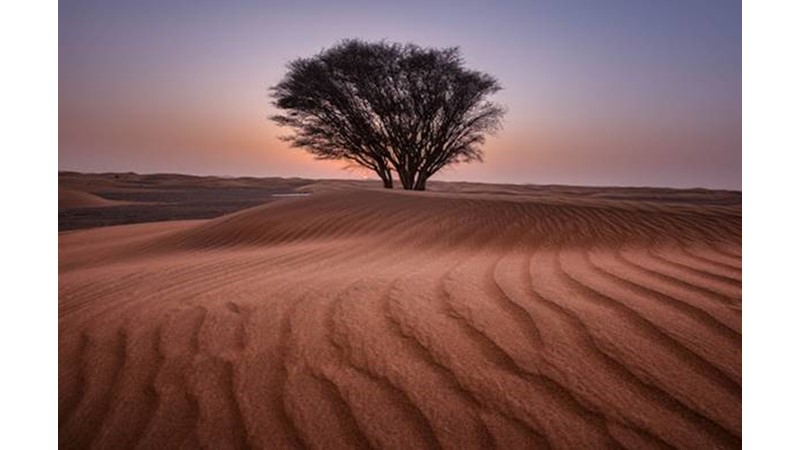 Öncü Çarpışmalar