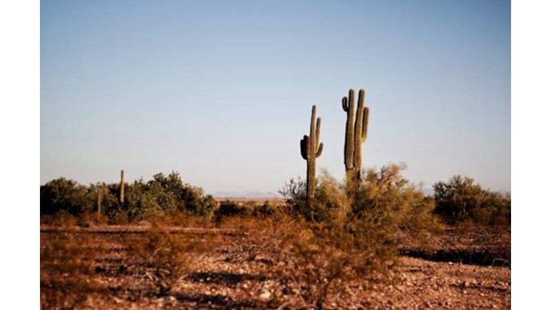 Basra’ya Yürüyüş