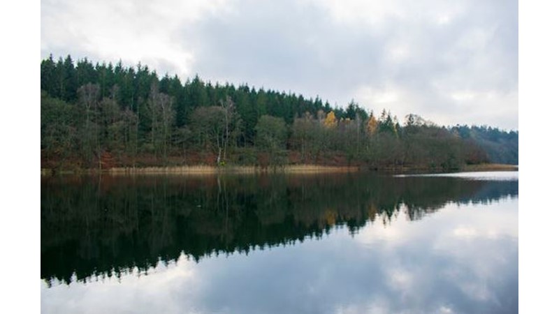 Cem Sultan Köşeye Sıkıştı