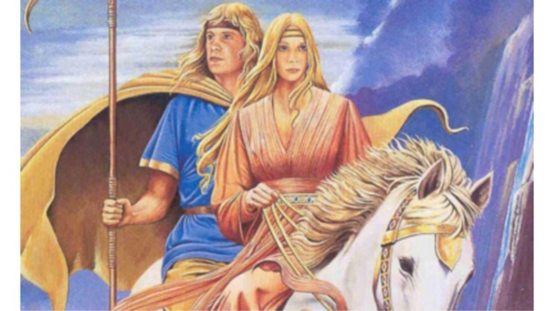 MEMLEKET HASRETİNİN BEDELİ