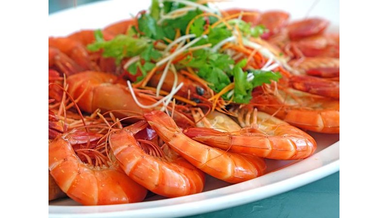 Okyanusun En Gürültücüleri