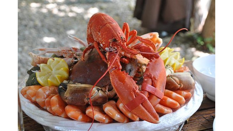 Okyanusun En Gürültücüleri