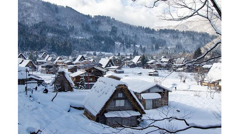 Osmanlı’nın Türkmen Aşiretleri (VII)
