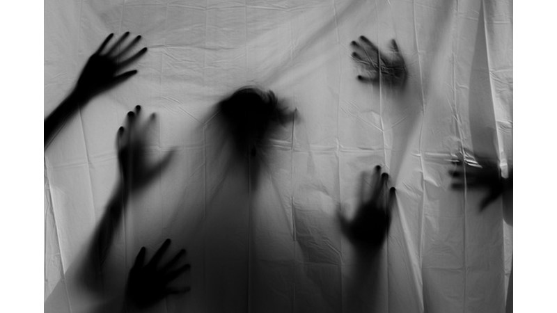 Tüm Organları Uyaran Hormon