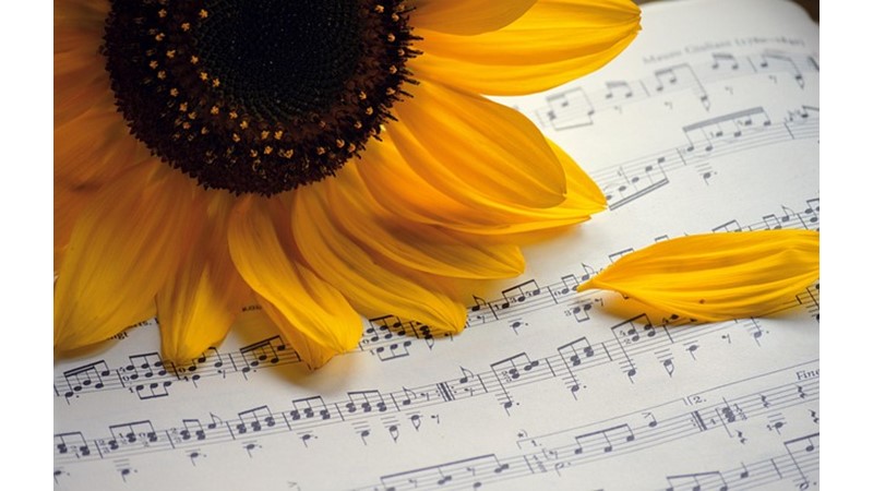 Öğrenemeyen İnsanlar