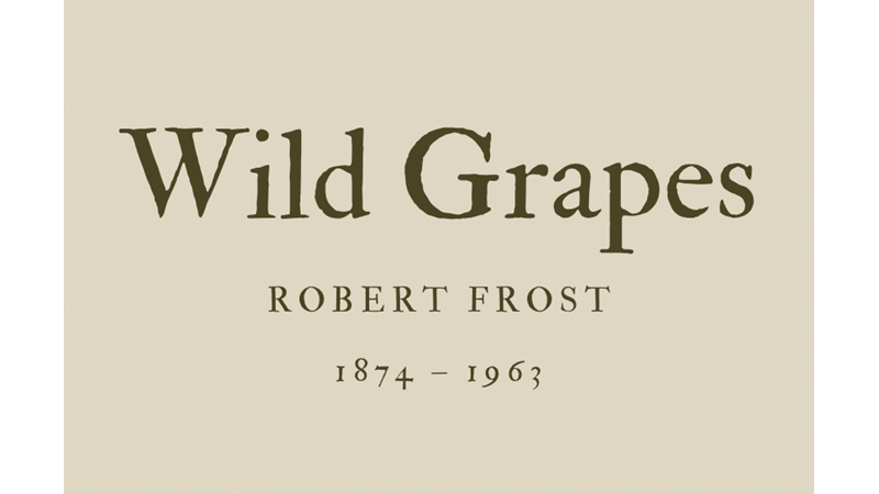 WILD GRAPES - ROBERT FROST